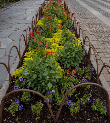 Bloemperk in Göteborg