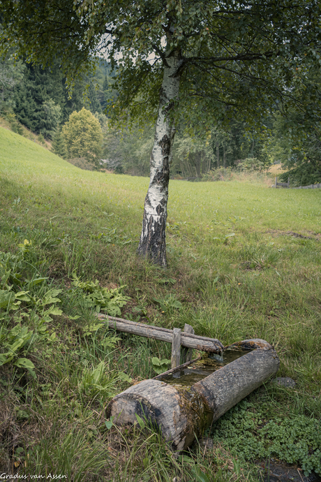 Rust........