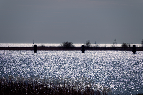 Glinsterend IJsselmeer