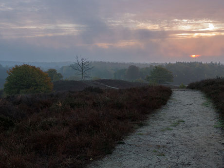 Zonsopkomst op de Zijpenberg bij de Posbank