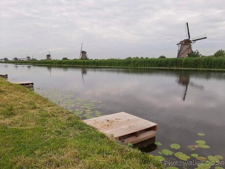 Floris V-pad bij de Molens van Kinderdijk - 1