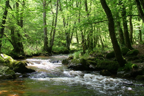 Riviertje aan waterval van Gouloux