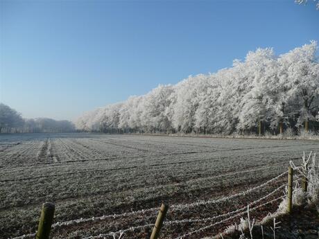 Winter,Leersum 2007