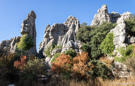 Nog een blik op de gigantische rotspartijen waar we doorheen gelopen zijn.
