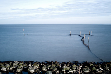 Houtribdijk