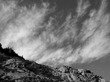 Picos de Europa 2