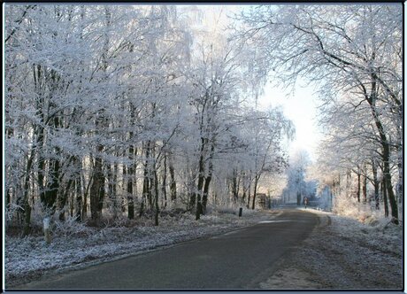 Geen sneeuw, toch winter