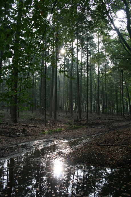 na regen, zonneschijn