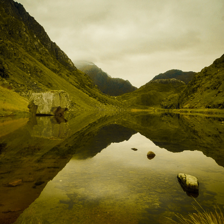 Reflectie in het Groen