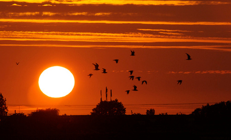 Ondergaande zon