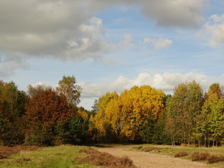 Kleurenpracht op Havelte