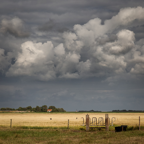 Texel