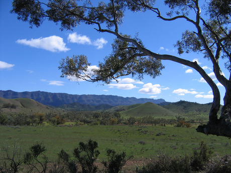 Flinders ranges australia