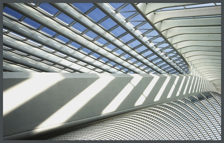 Station Luik Guillemins .