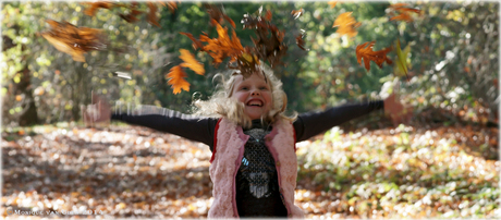 Plezier in het herfstbos