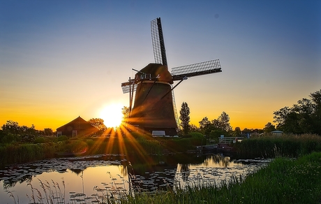 Rietveldse molen bij zonsopkomst