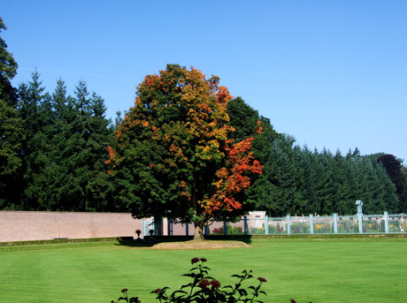 Indian summer in Apeldoorn