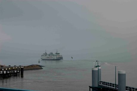 De veerboot naar Texel