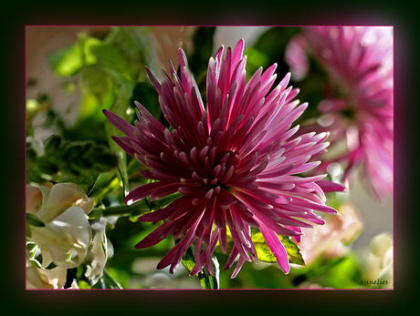 bloemen explosie !!!