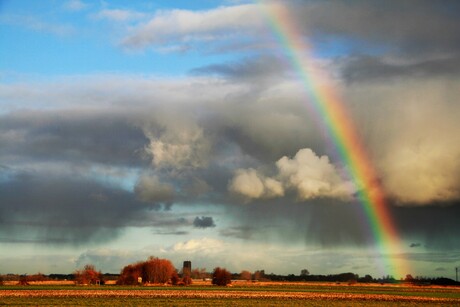 Regenboog.