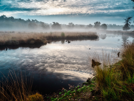 Prachtige weerspiegelingen in de Hatertse Vennen