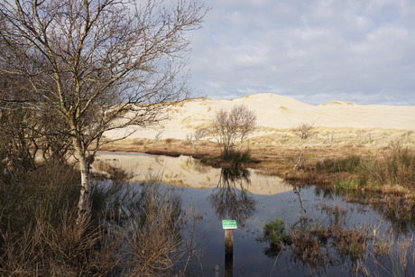 Egmond aan Zee