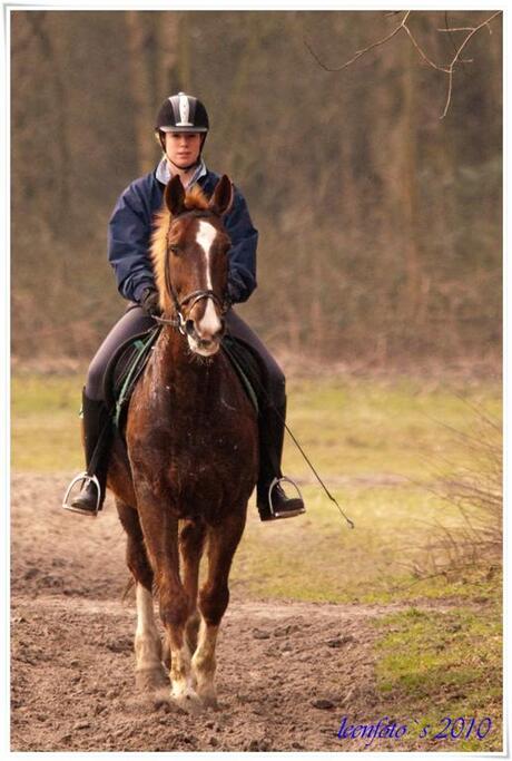 ruiter te paard