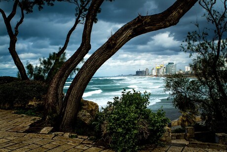 Tel Aviv - Jaffa the Old Sity-52-2