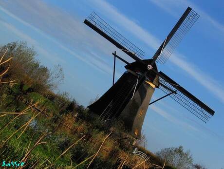 Kinderdijk4