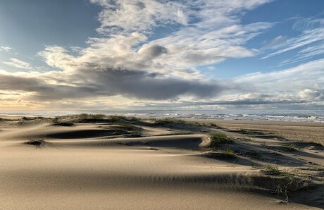 Duin op Texel