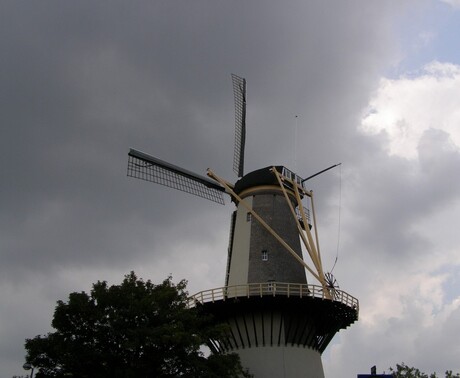 MOLEN DE DRIE KOORNBLOEMEN