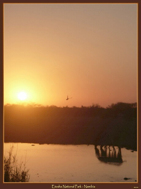 Etosha