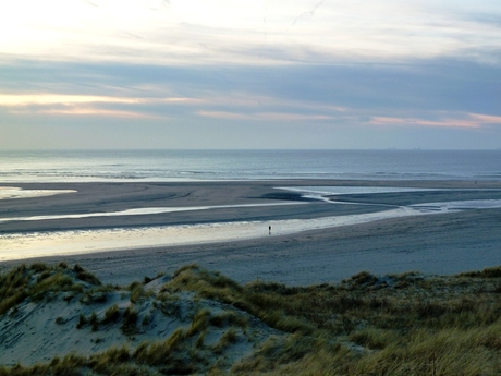 Wandelaar Maasvlakte