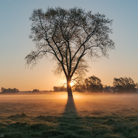 Zonsopgang