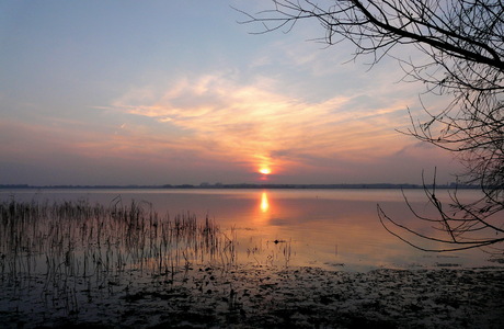 Uit het archief 2010.