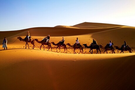 Karavaan in de Sahara.