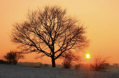 Zonsondergang