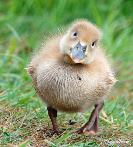 "Ehm, wat doe je...."