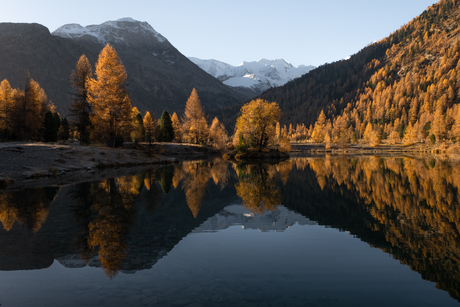 Herfstspiegel