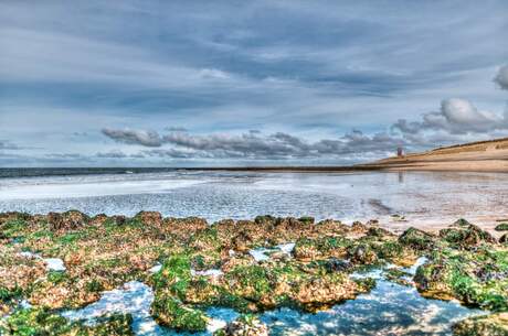 Strand Den Helder