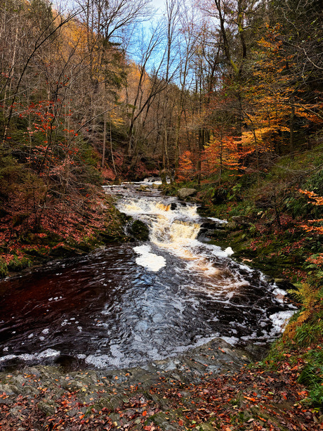 Herfst in de Ardennen. 