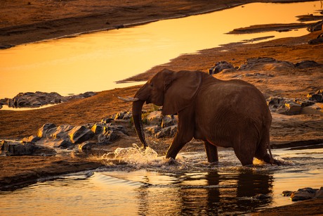 Zonsondergang boven het Krugerpark
