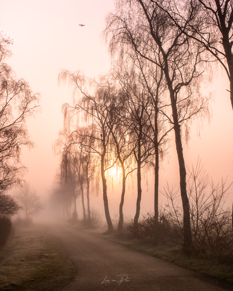 Een mistige maar prachtige ochtend 💛