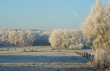 Winterlandschap Nijverdal