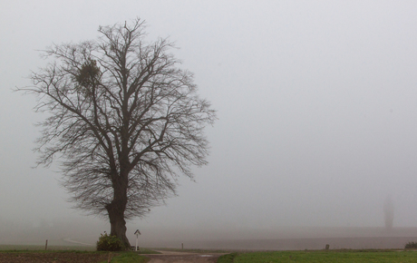 Gedenken in de mist....