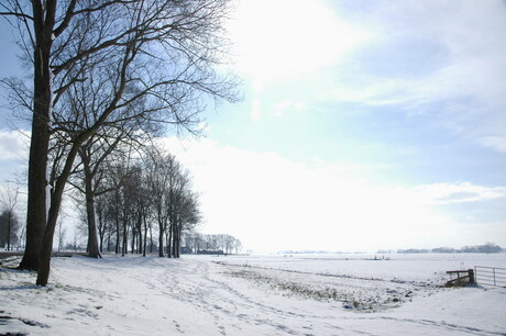 Landschap bij Kampen