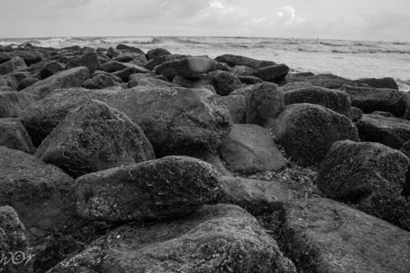Nordsea Rocks