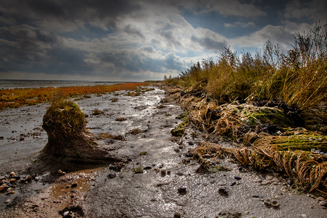 Waddenkant op Texel