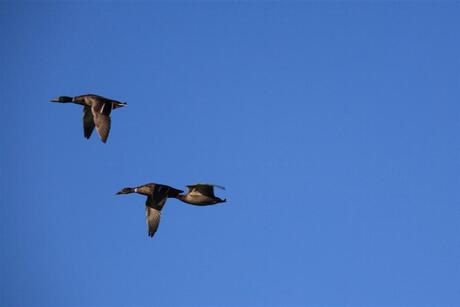 bijtanken in de lucht