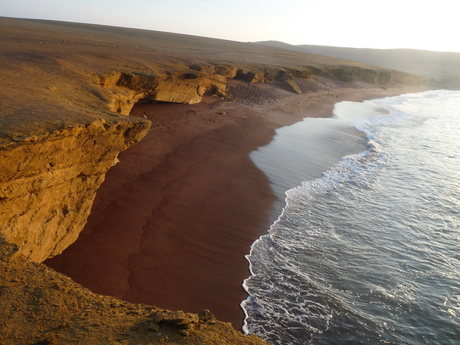 Reserva Nacional de Paracas